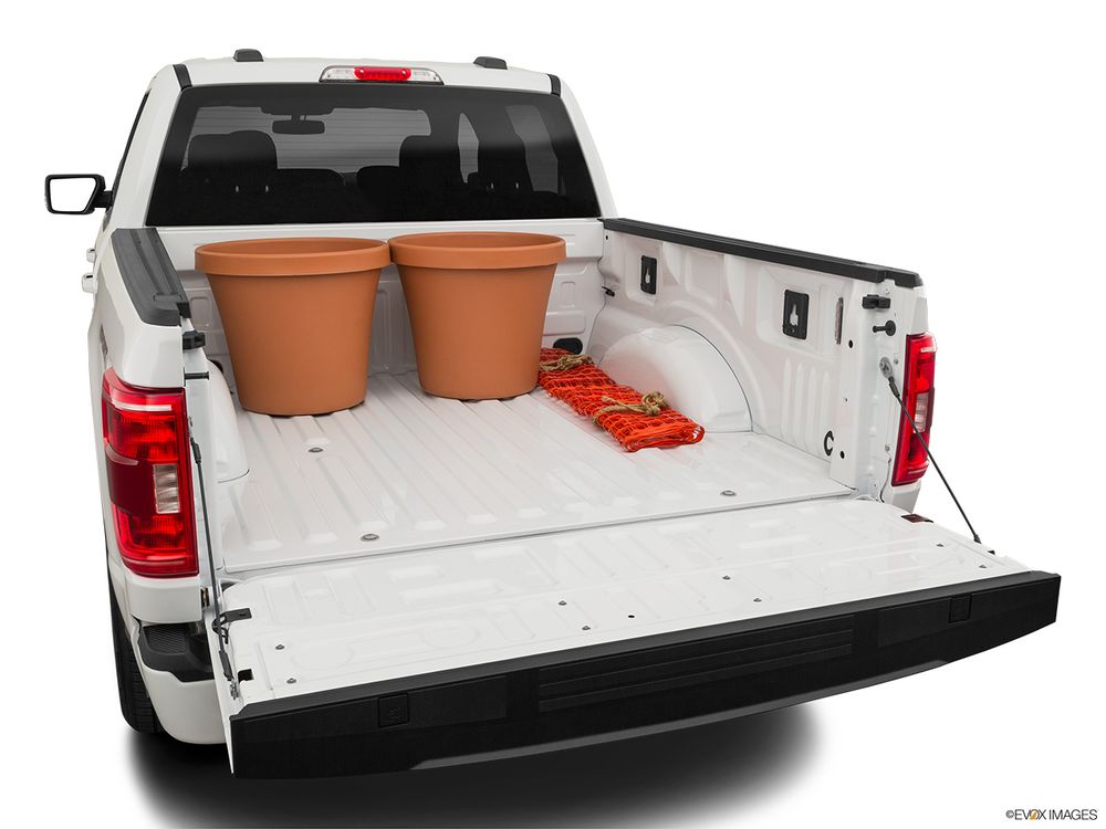 Ford F-150 Image Listing 33