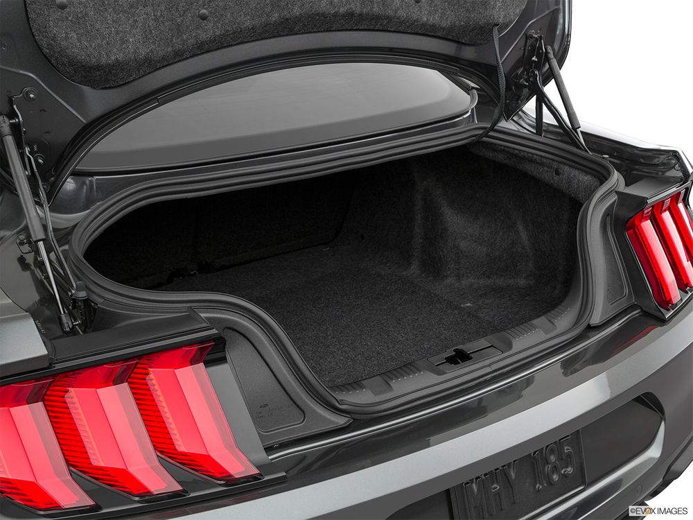 Ford Mustang Image Listing 9