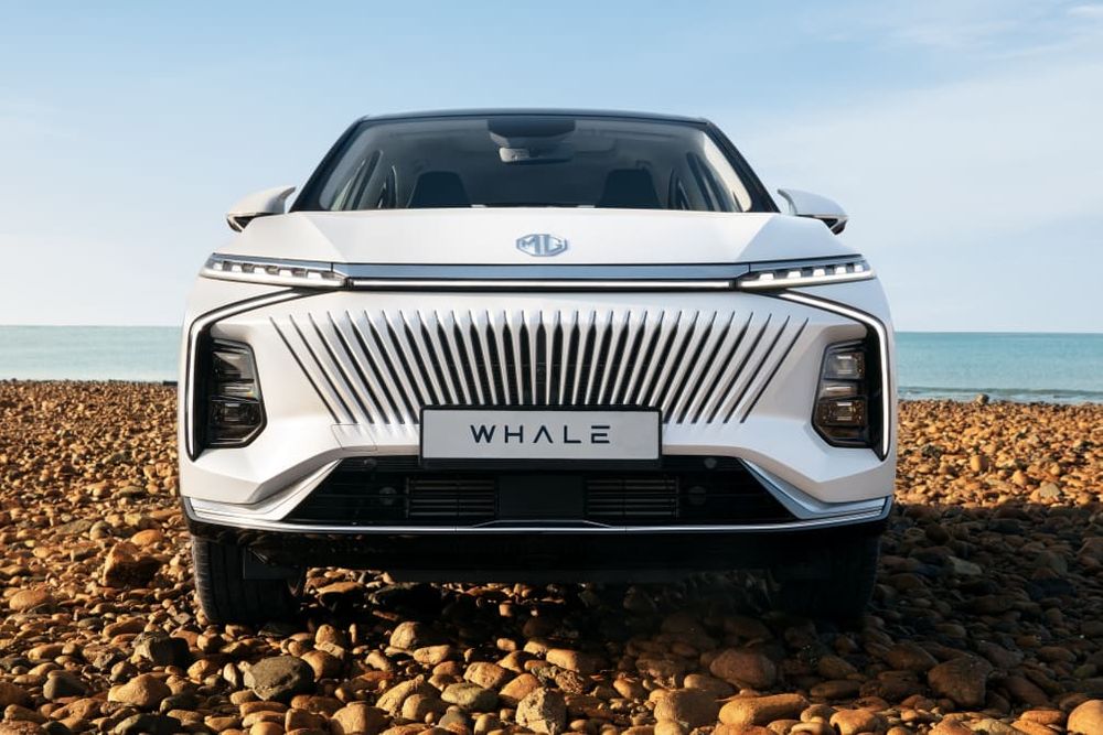 MG Whale Image Listing 3