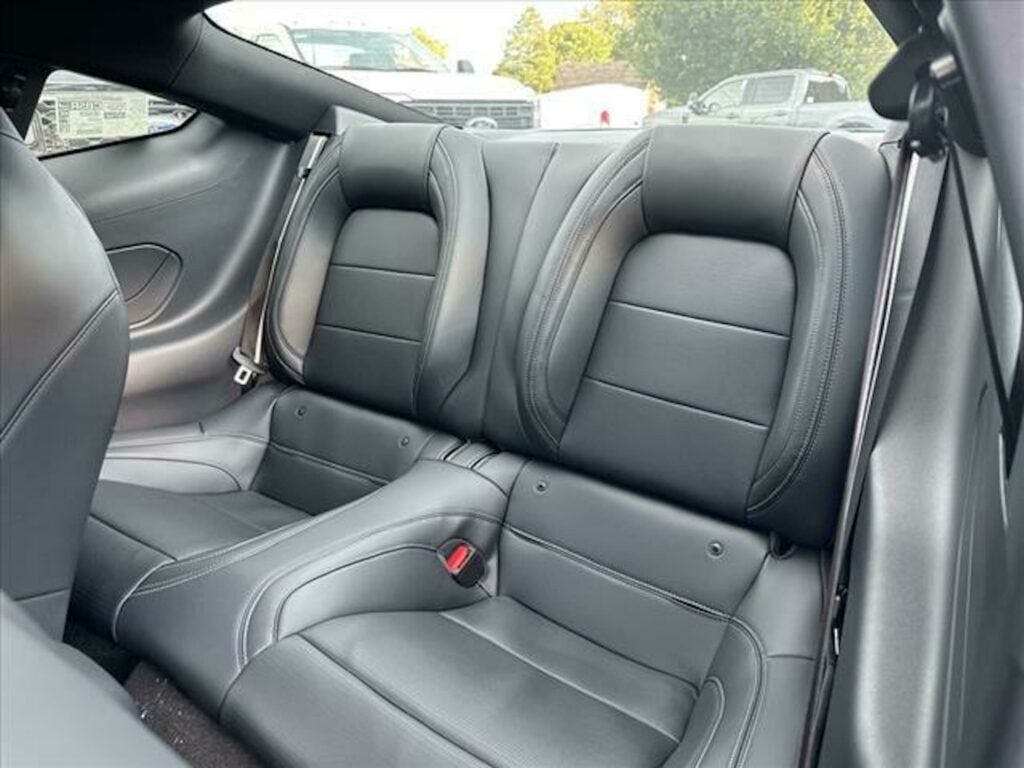 Ford Mustang Image Listing 4