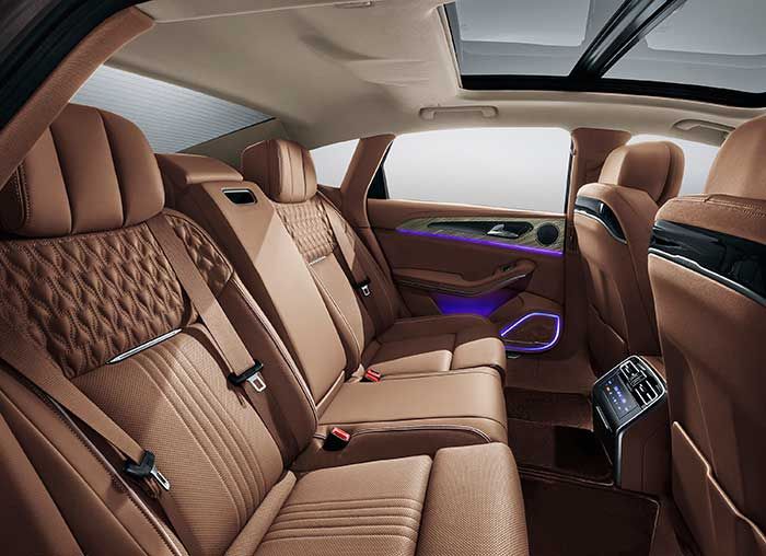 Hongqi H9 Image Listing 14